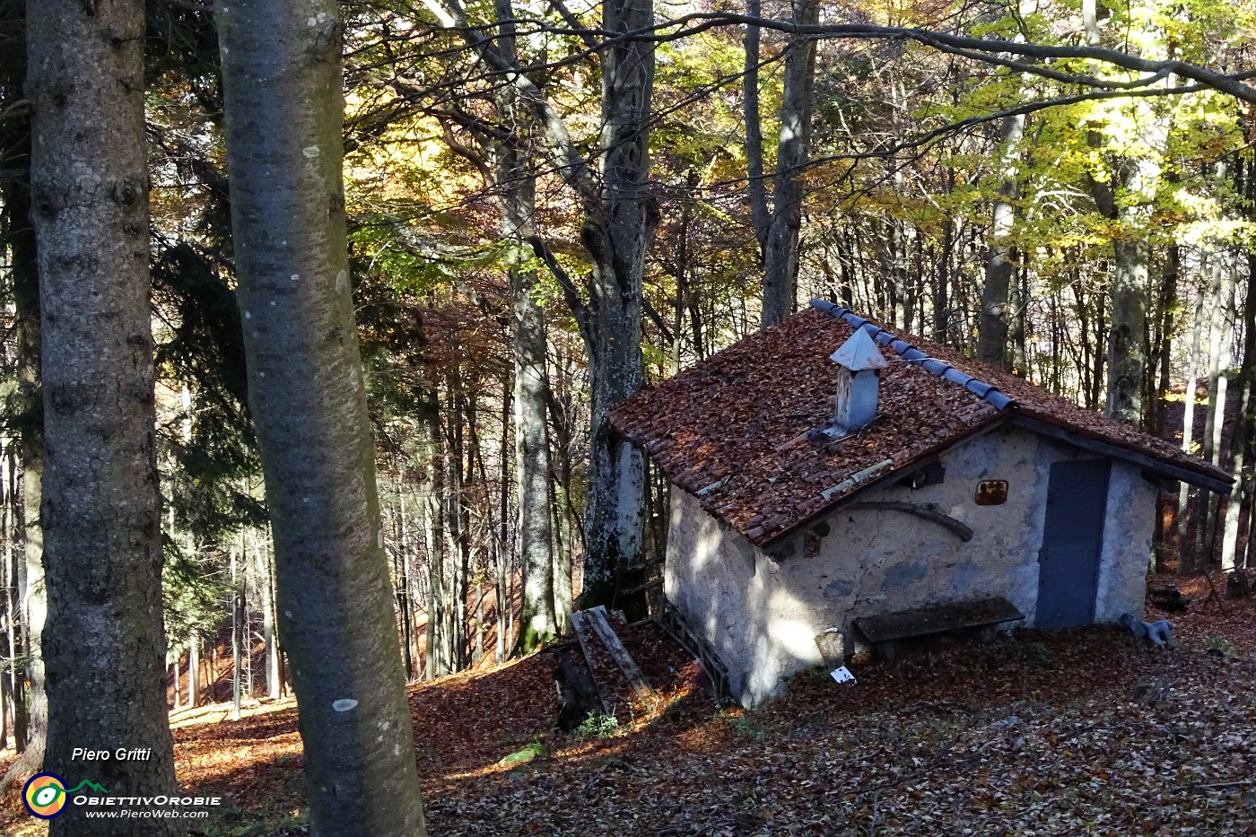 43 Baitella in faggeta.JPG